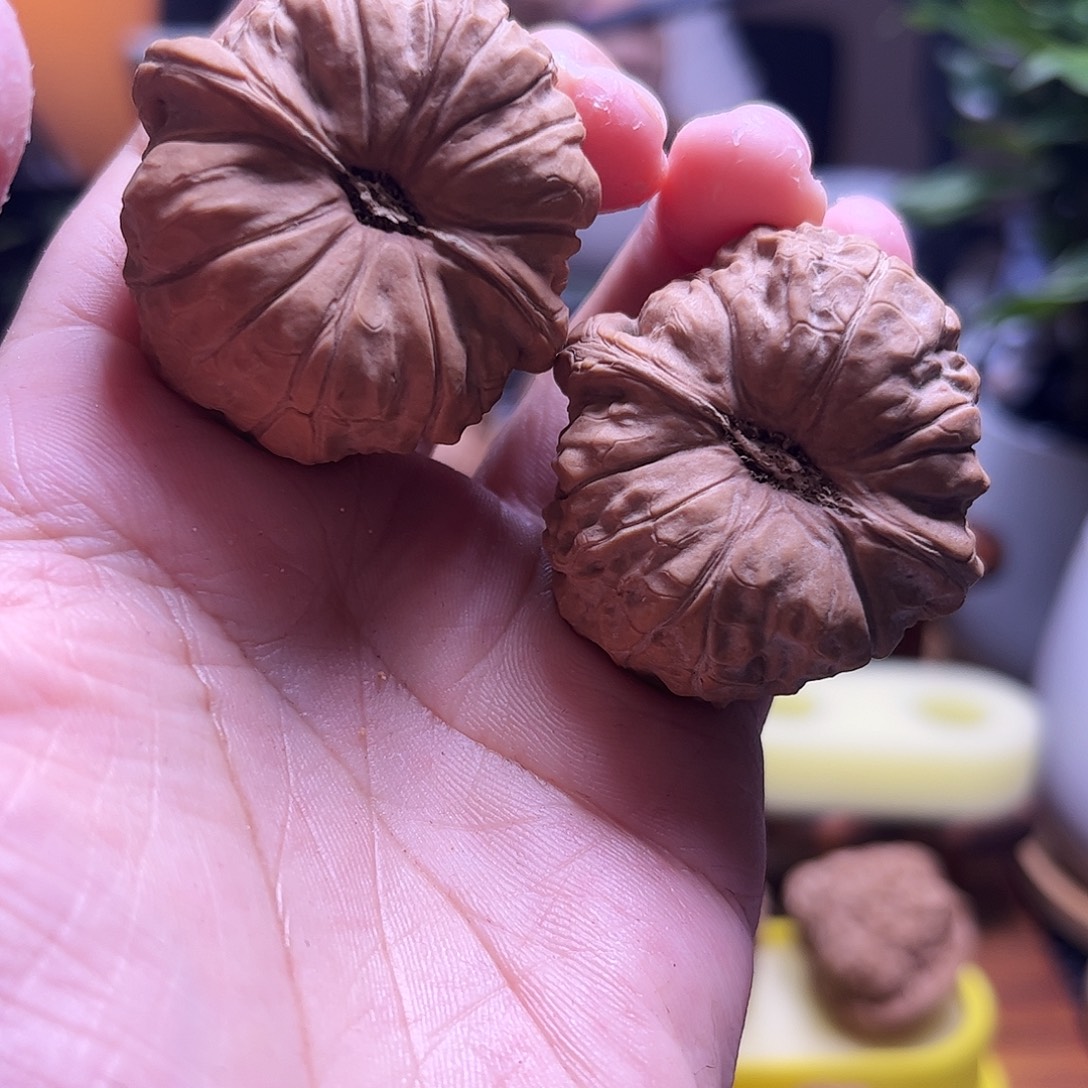 -***鲁把件文玩核桃40尺全品白茬南瓜32