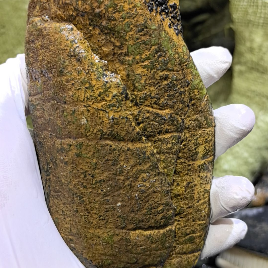 福***家藏玉药王石原石一个