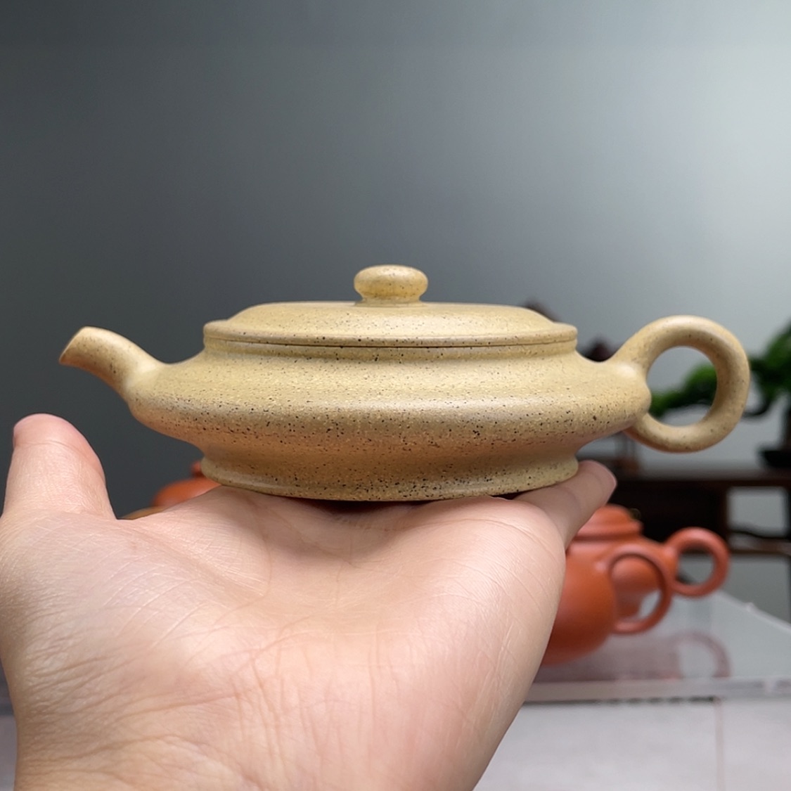 【闪购商品】茶壶紫砂A***G芝麻绿虚扁容量120cc