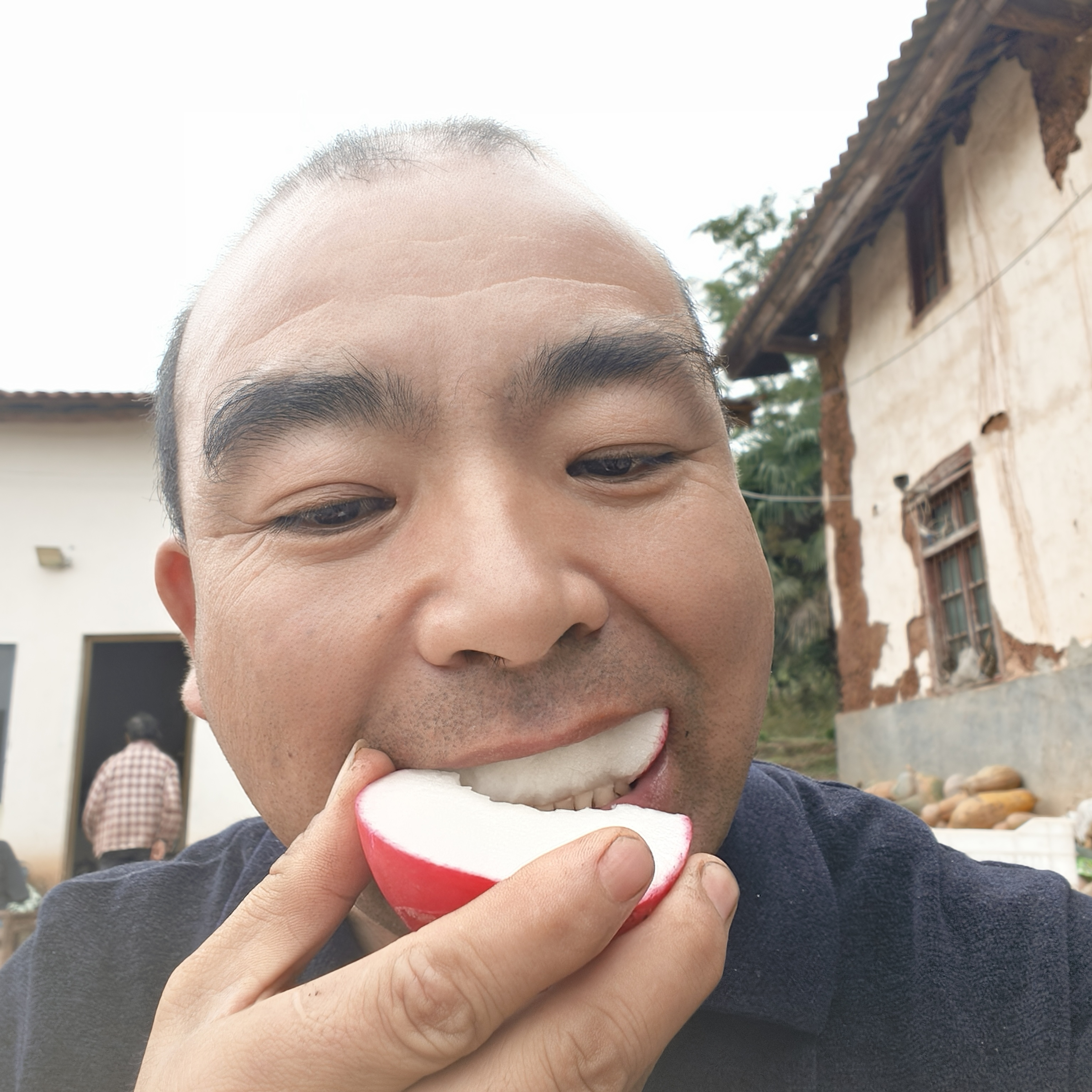 湖北南漳高山新鲜现拔冰淇淋萝卜甜脆多汁冰糖心可生吃