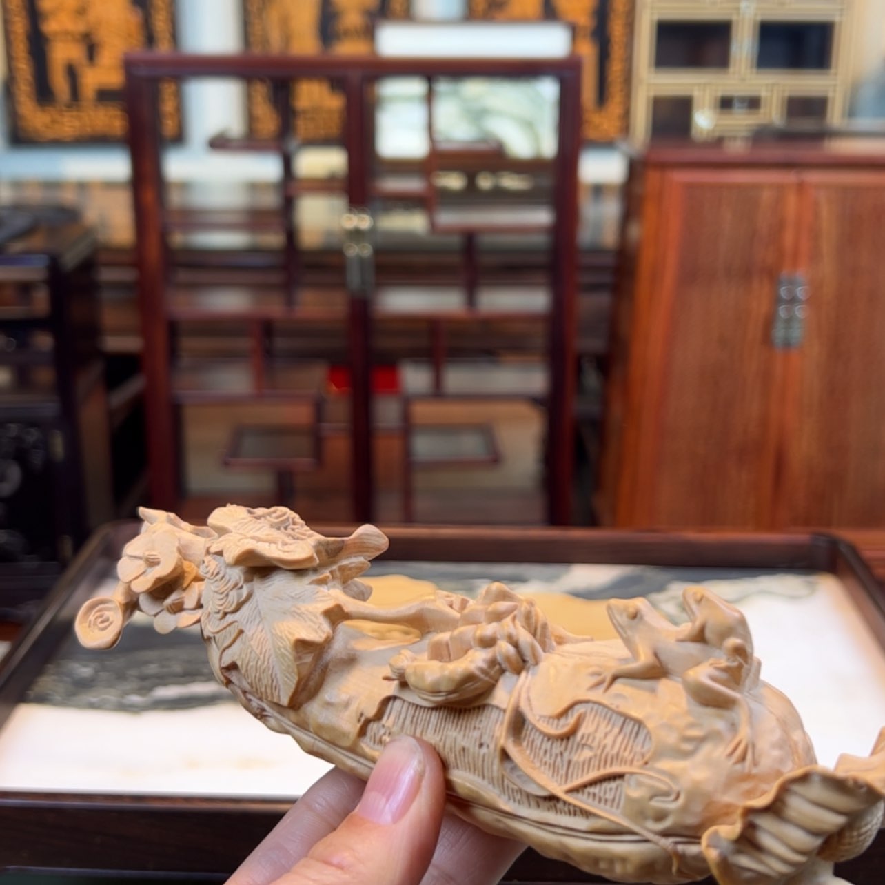 【闪购商品】黄杨木其他黄杨木
