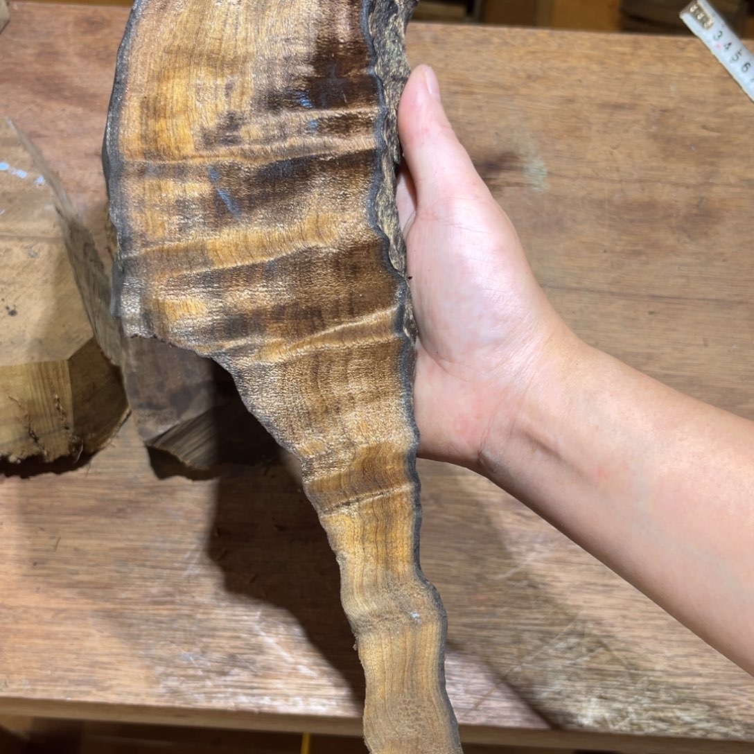 礻***馬金丝楠金丝楠原材料