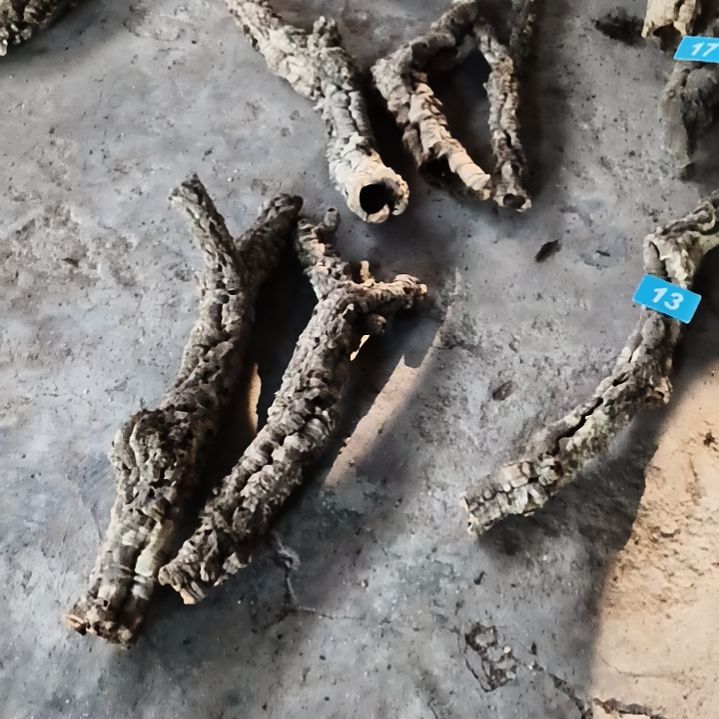 顺顺利利，平平安安