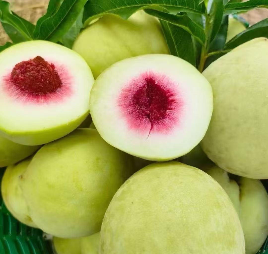 【小时达】湖北脆蜜桃2斤±20g