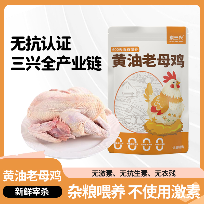 岽三兴黄油老母鸡无抗新鲜整只现杀正宗土鸡谷物喂养