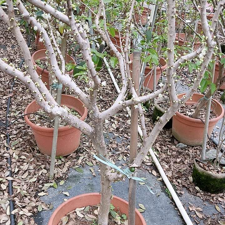 *️1445789999999999