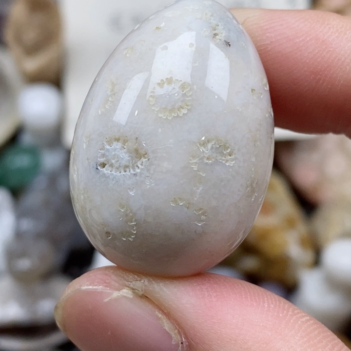 硅化珊瑚（珊瑚玉）未镶嵌颈饰有瑕