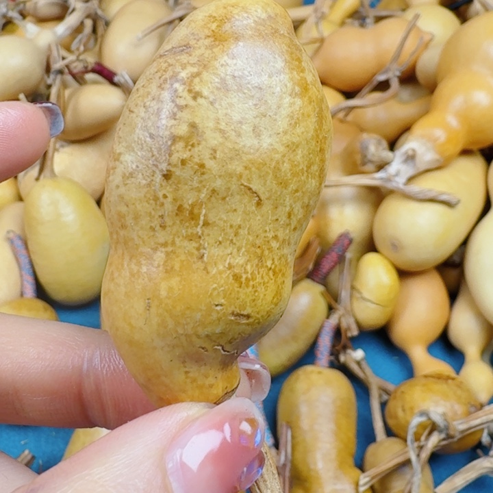 .*七使劲卡路里哈哈哈哈