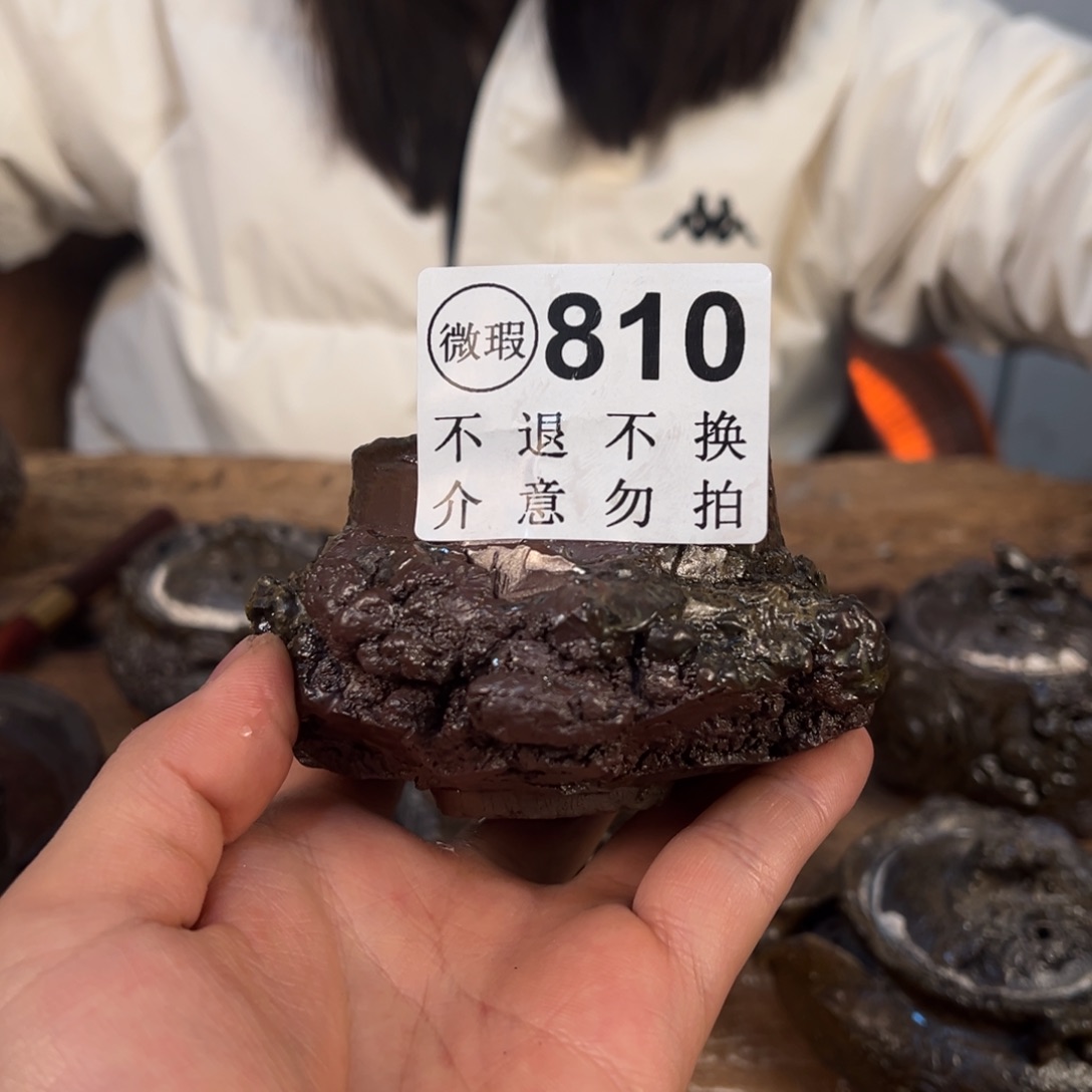 壶一一一一一一一一810