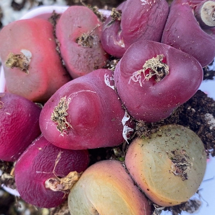 2266一组一组一组