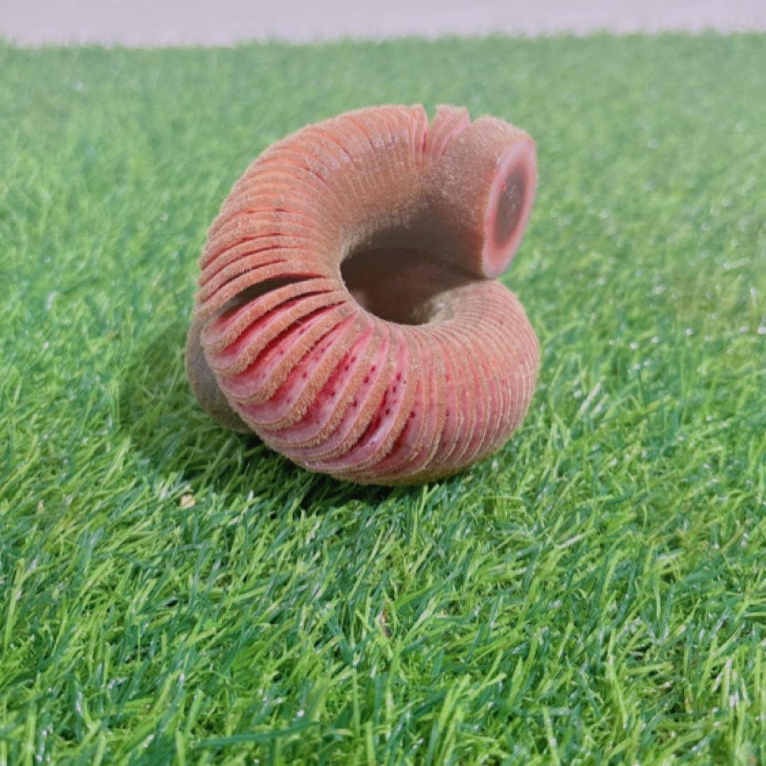 鹿茸 产地发货 直播选购 一物一拍