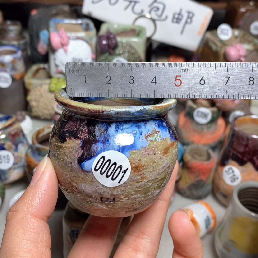 拍5送一个小礼物