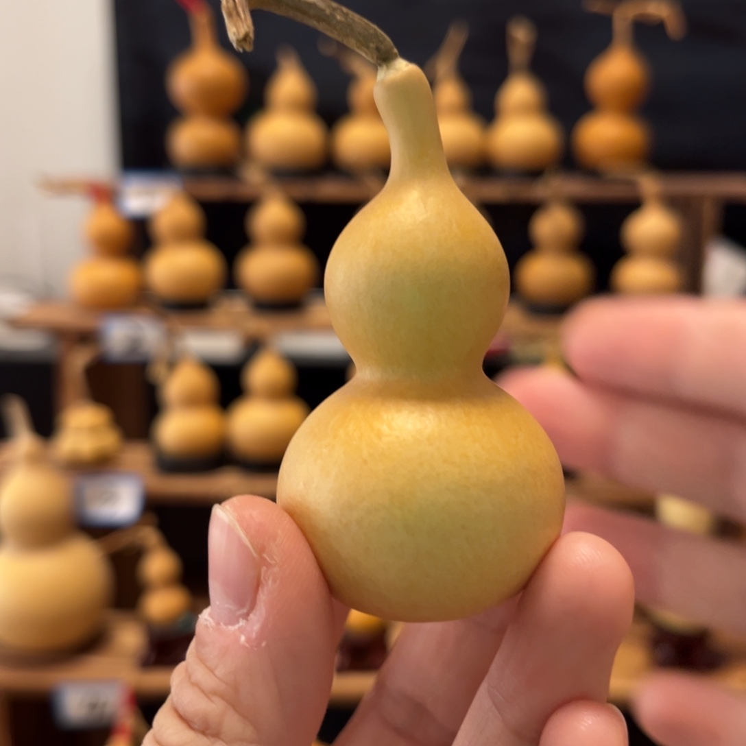 L***l精品天津嘴长弯嘴葫芦