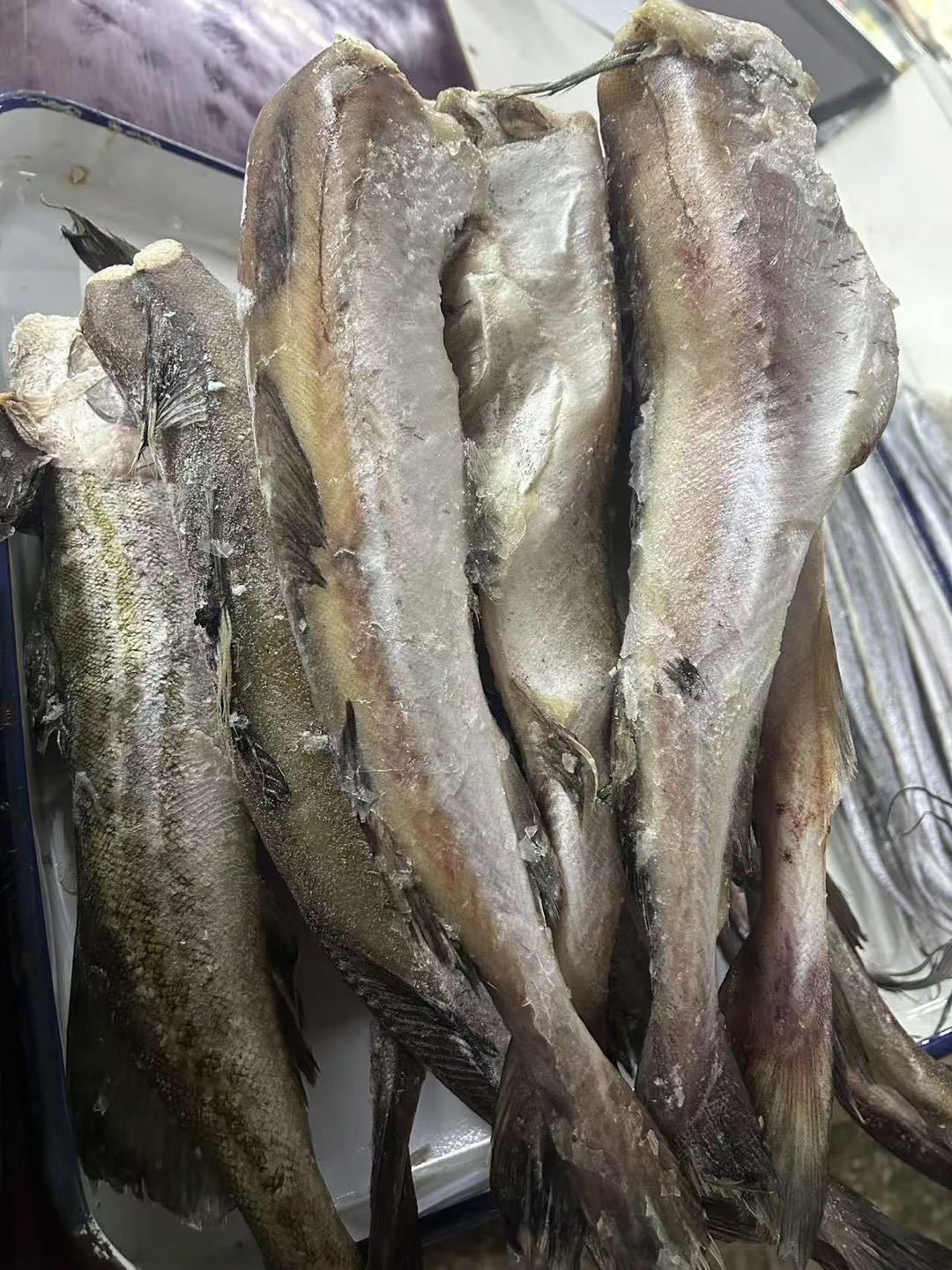 东北特产 代购鲜明太鱼整条 大号无头净膛