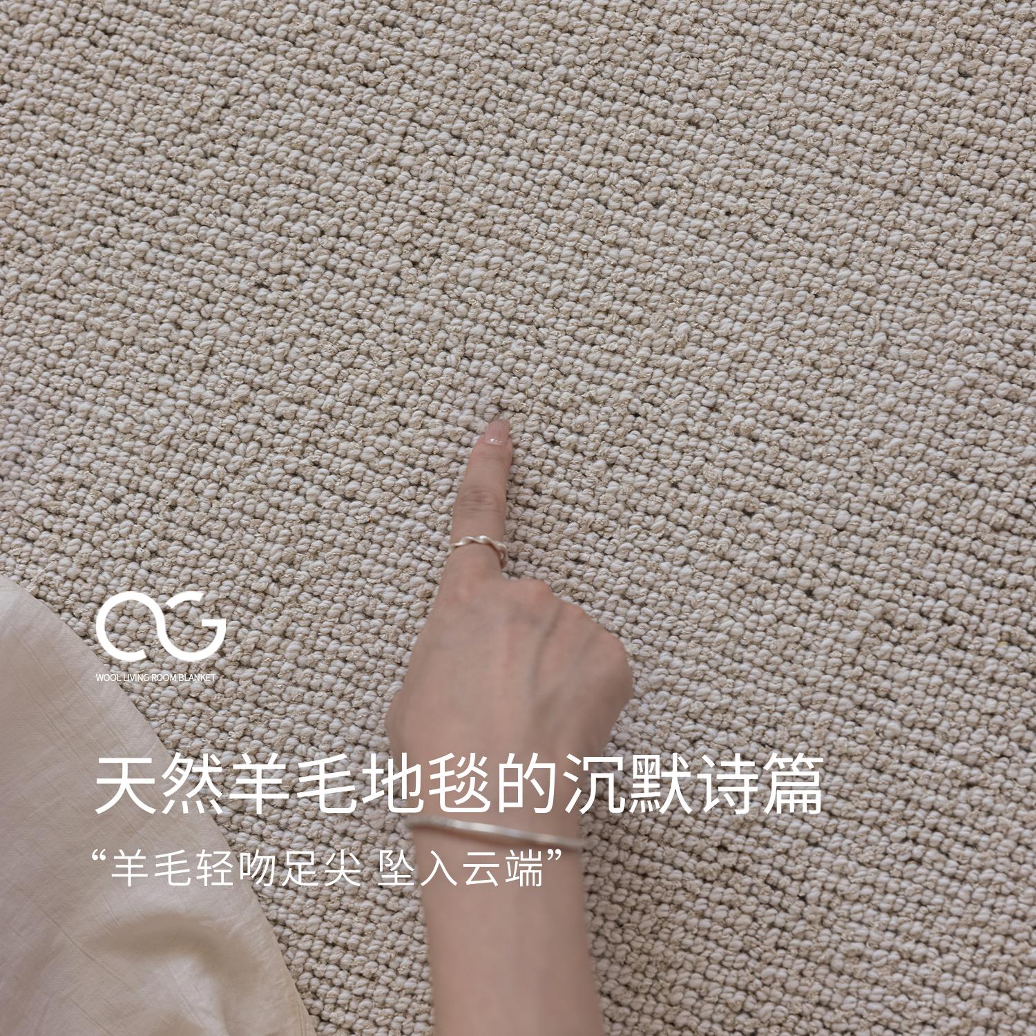 翡莱雅2025新款高端新西兰进口羊毛地毯客厅沙发茶几垫轻奢风高级