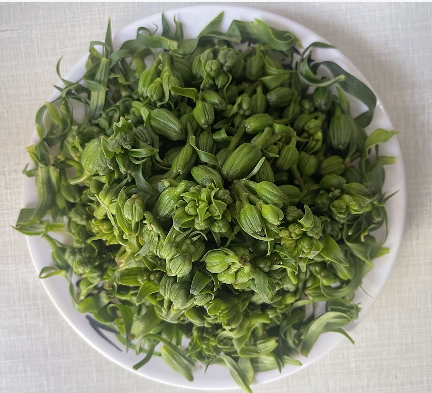 兰州百合 百合花蕾 新鲜采摘 带叶保鲜 