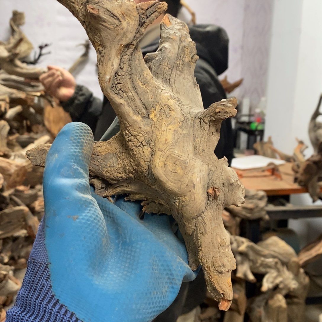 柏木子***P我们都是好孩子