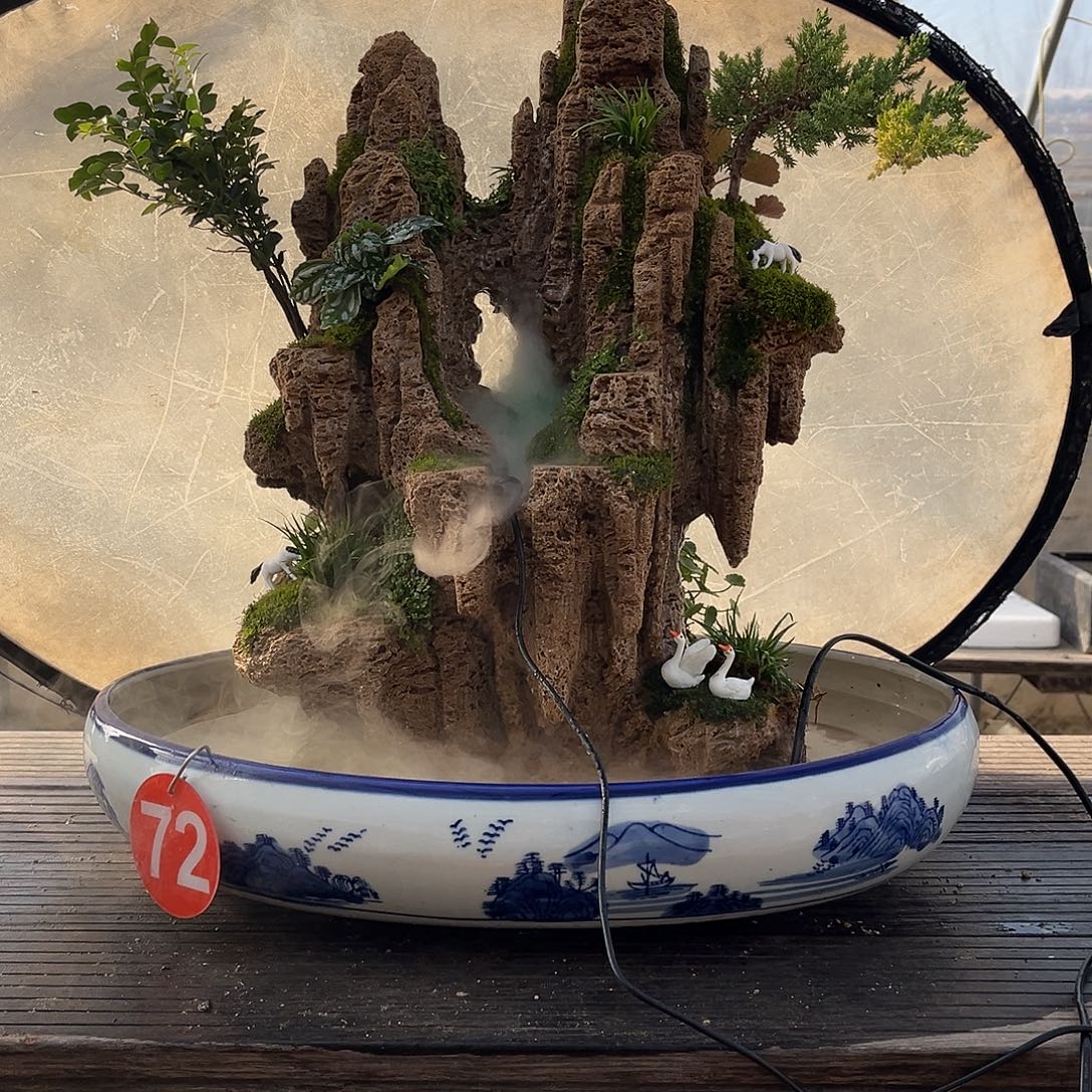 用***1无花朵吸水石假山盆景不含盆