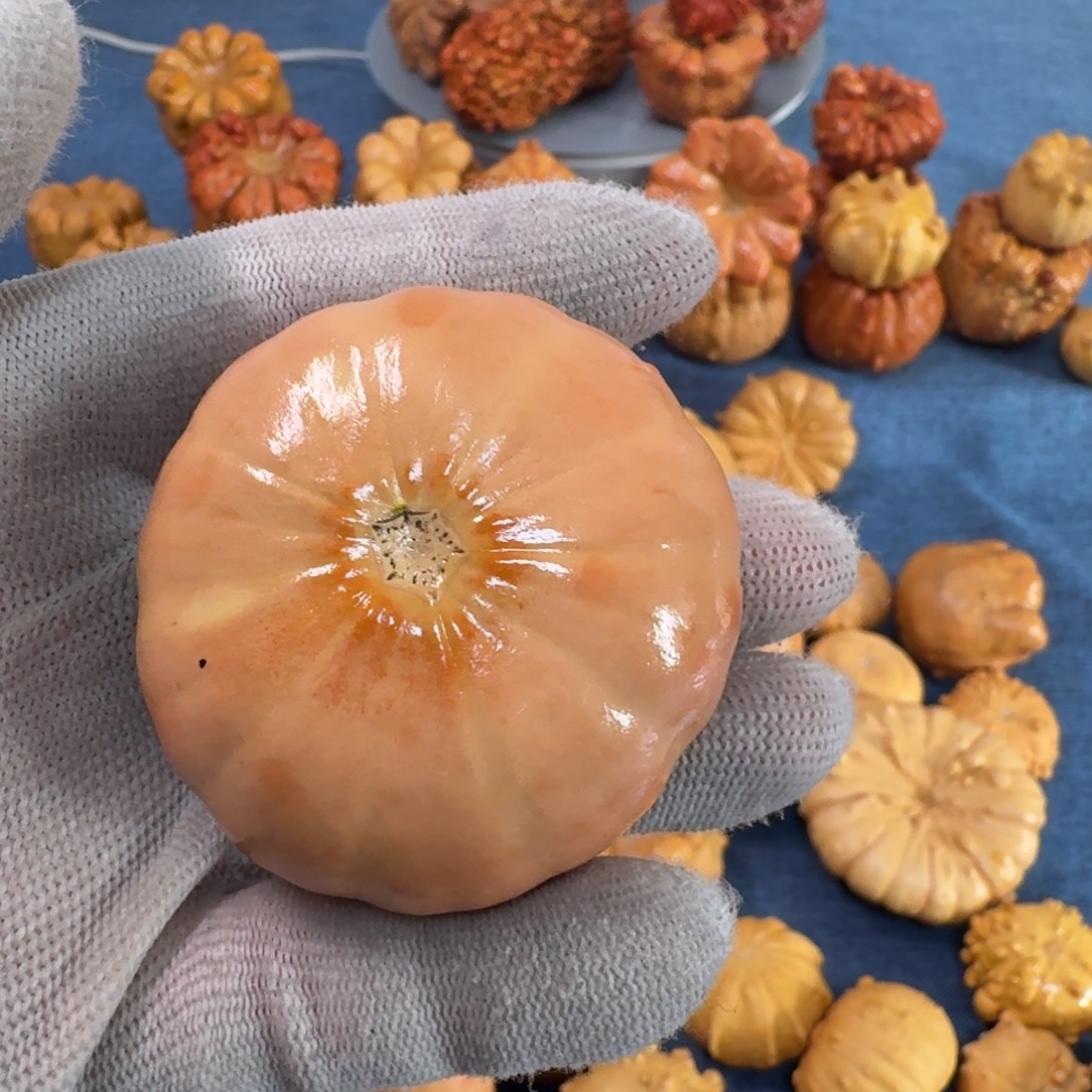 大***哥墨西哥七彩疙瘩葫芦特价不退换