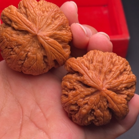 文玩核桃把件秦岭山脉核桃