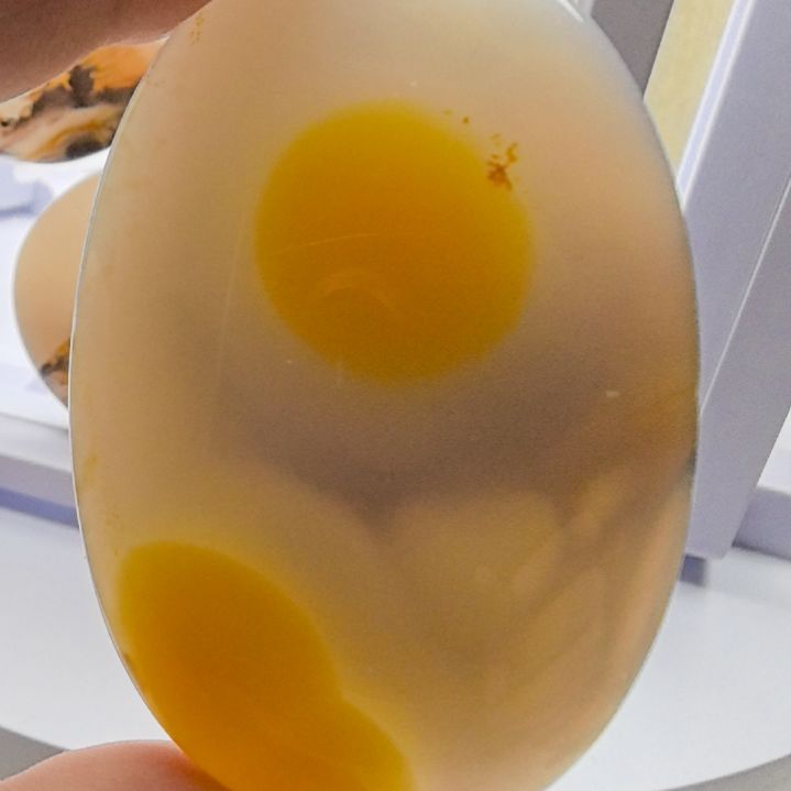 非金属时尚饰品04