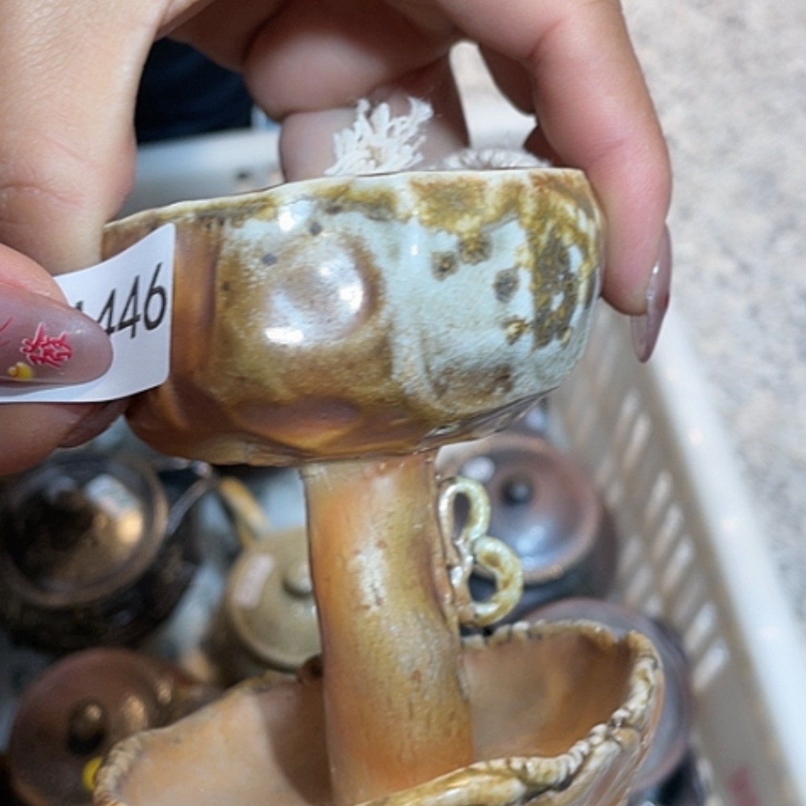 【闪购商品】福利福利活动来了