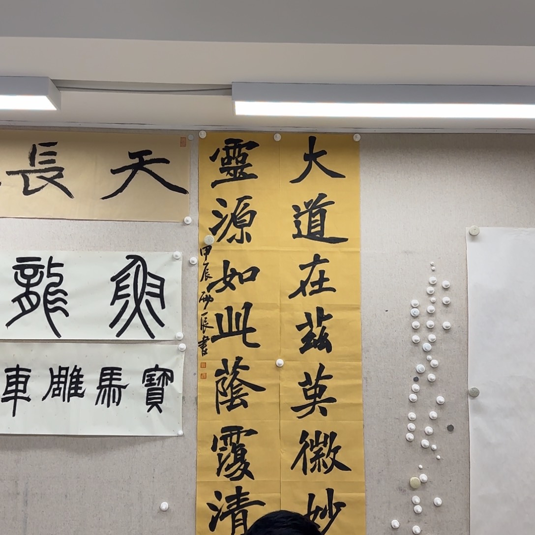 书法党震 对联《大道…》