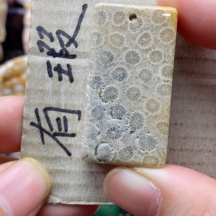 硅化珊瑚（珊瑚玉）颈饰未镶嵌