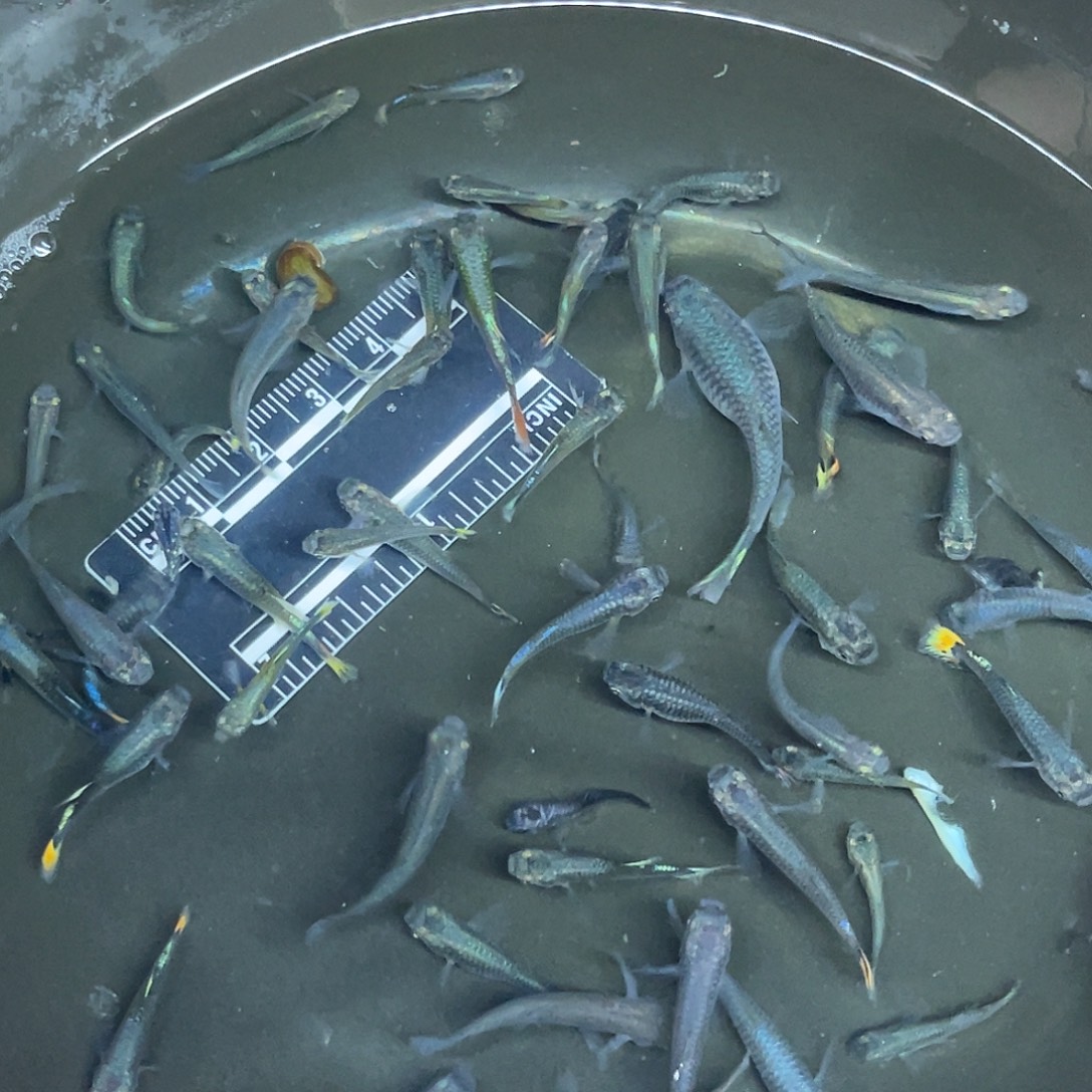 海星2-16号哈哈哈哈哈哈