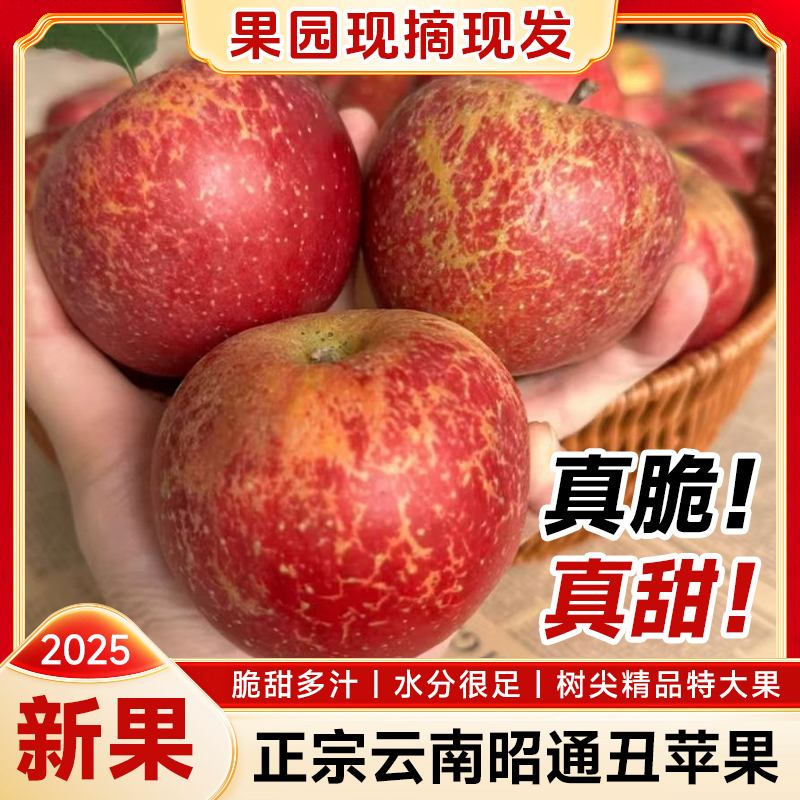 云南昭通丑苹果现摘新鲜脆甜多汁应季水果包邮正宗大凉山丑苹果