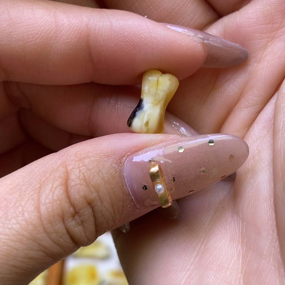 琥珀未镶嵌珠宝奇石骨头