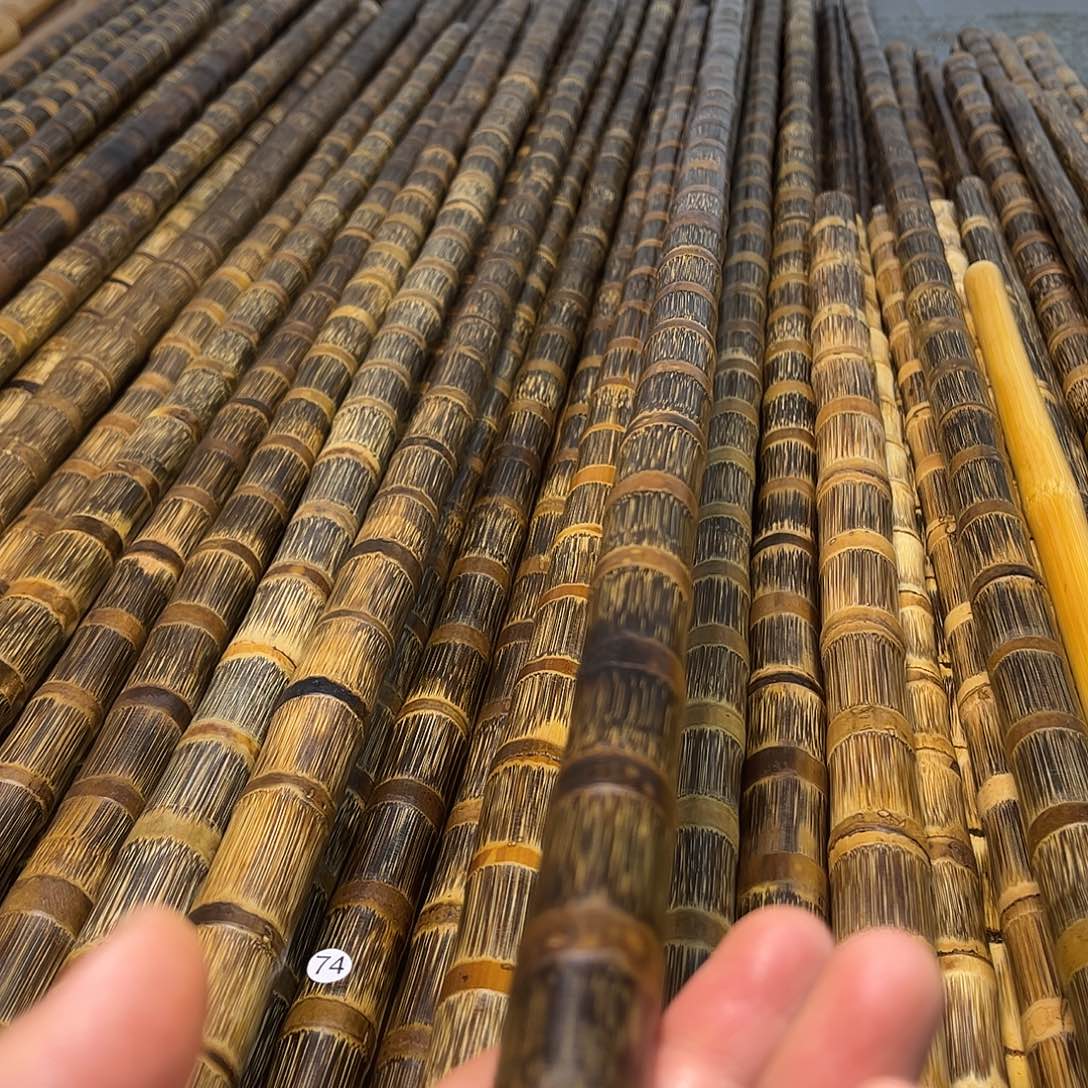 老***汉竹精美金丝实心竹1.5米长直径1.9-2cm