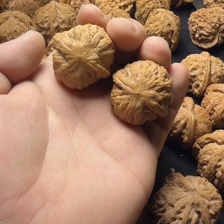 35铁锤妹妹尖部有修