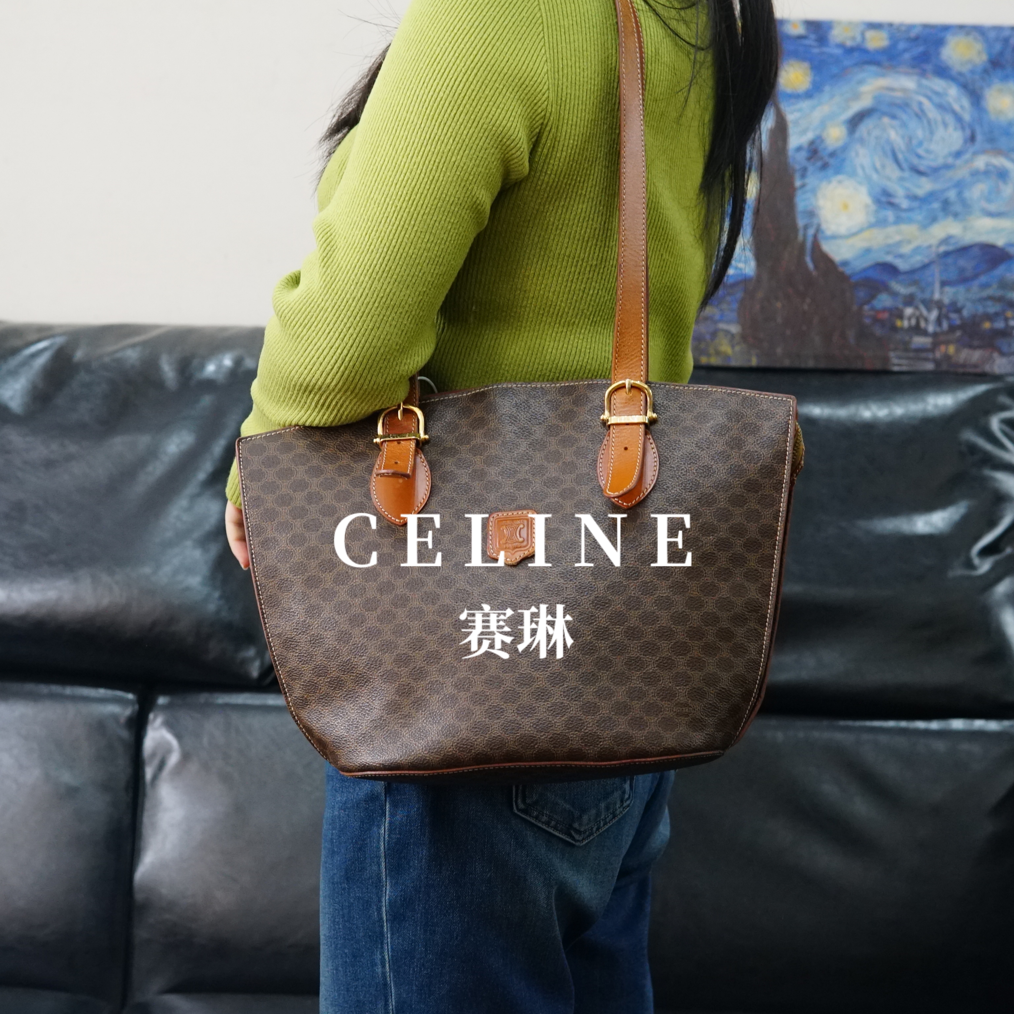95新 Celine/思琳 老花单肩包/JJ12726214/6214