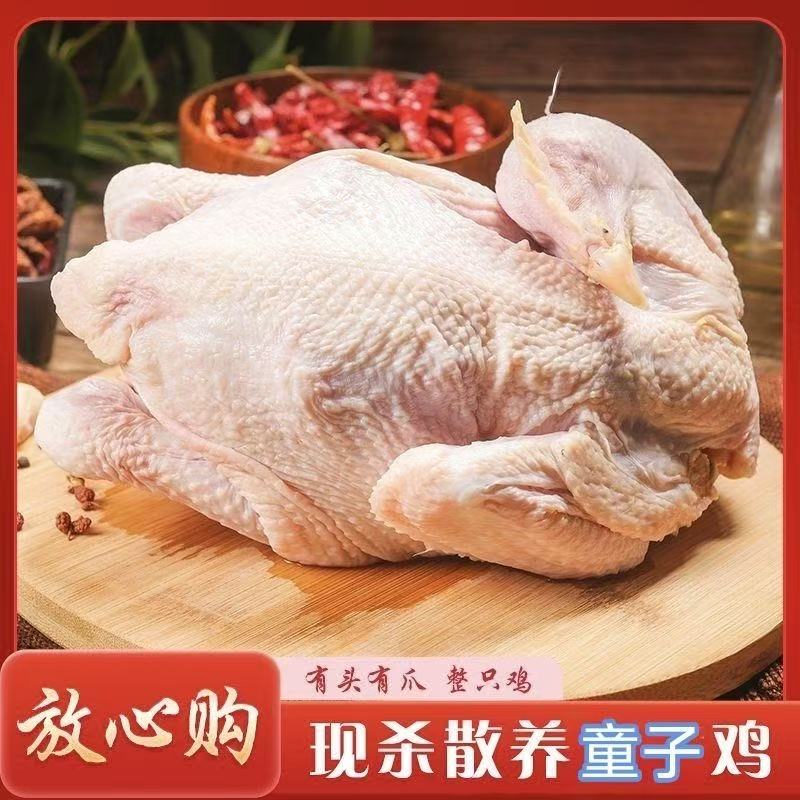 【花花6】5只农家黄脚童子鸡净重10斤净膛发货口感鲜嫩红烧爆炒白切