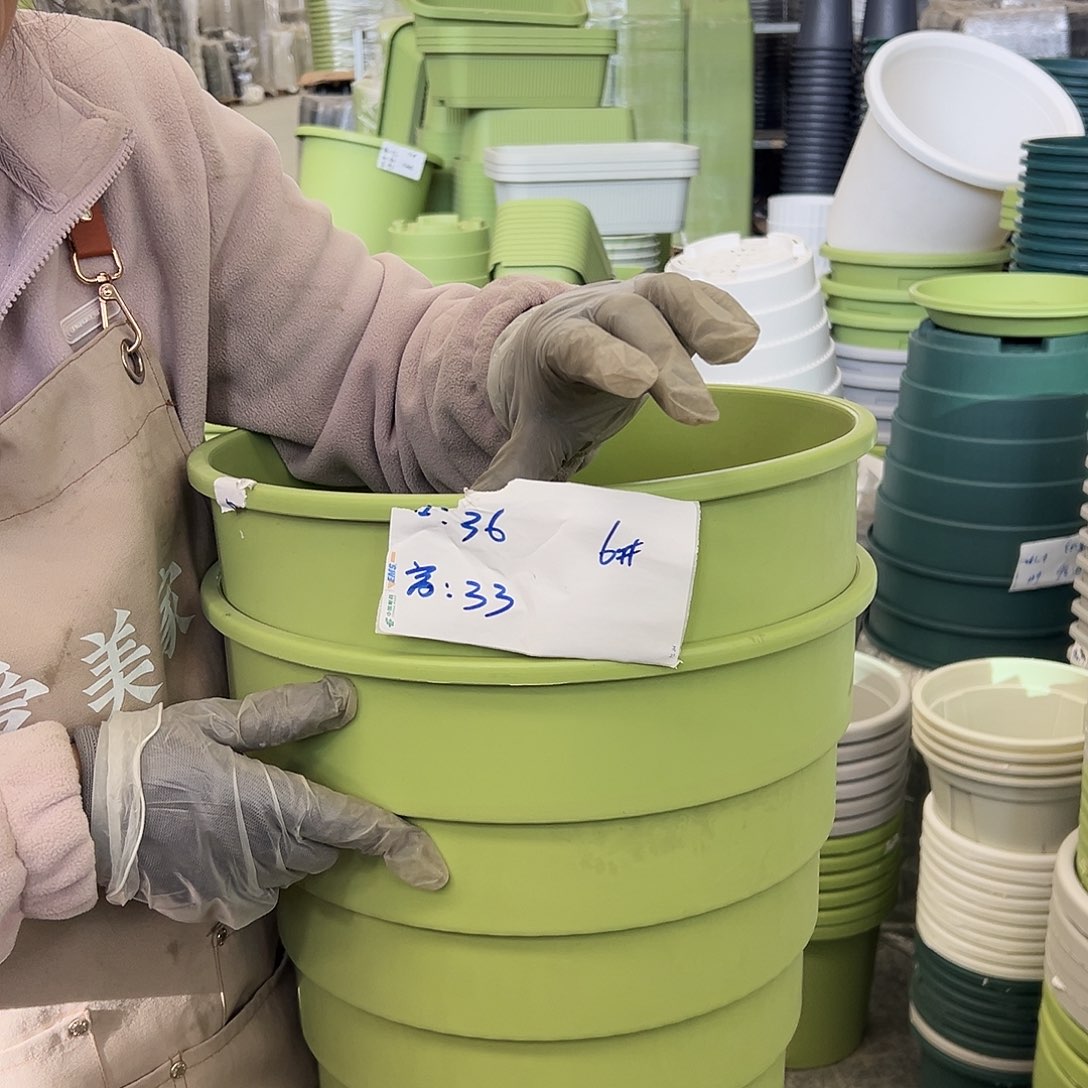 多孔6#果绿色3个无托