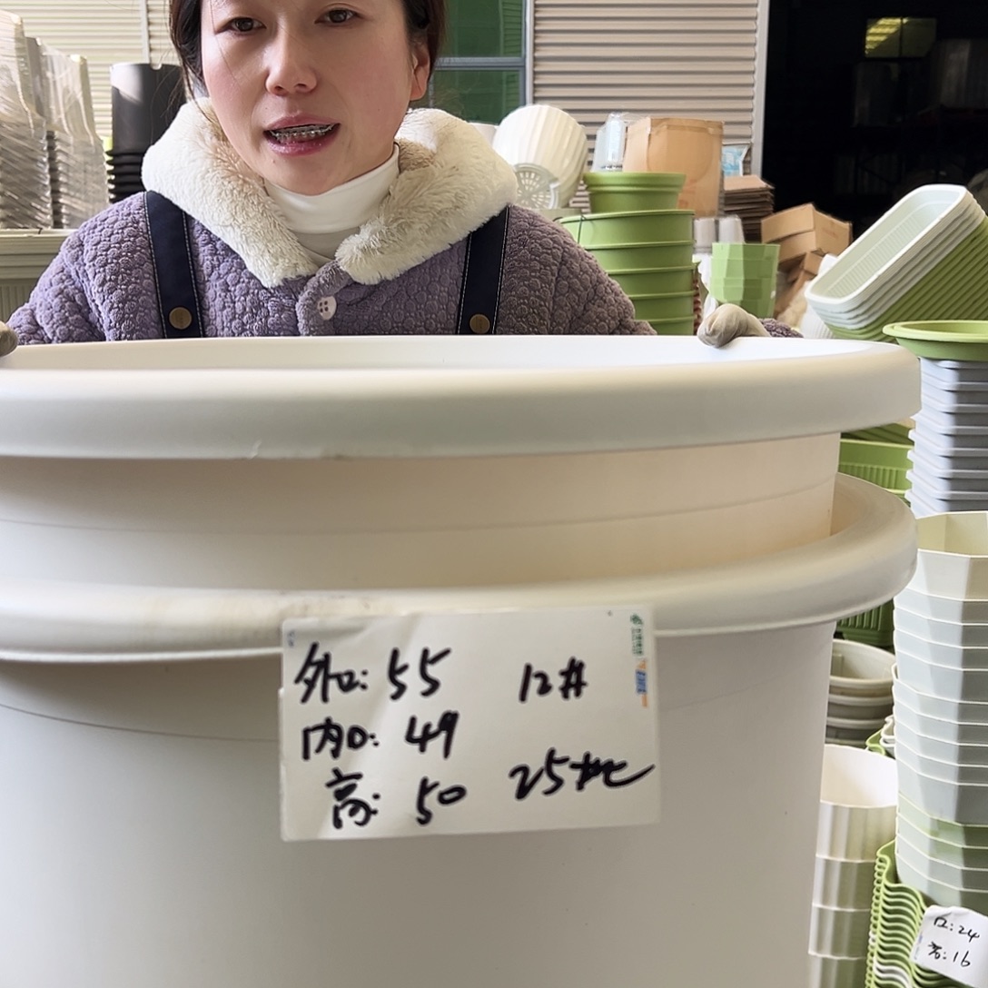 瑕疵四季盆12#白色2个无托