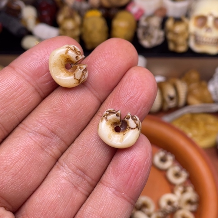 驼骨摆件人工养殖