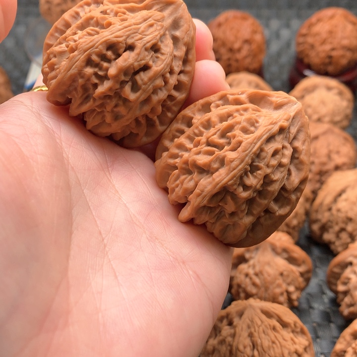 文玩核桃狮子头小众无名40