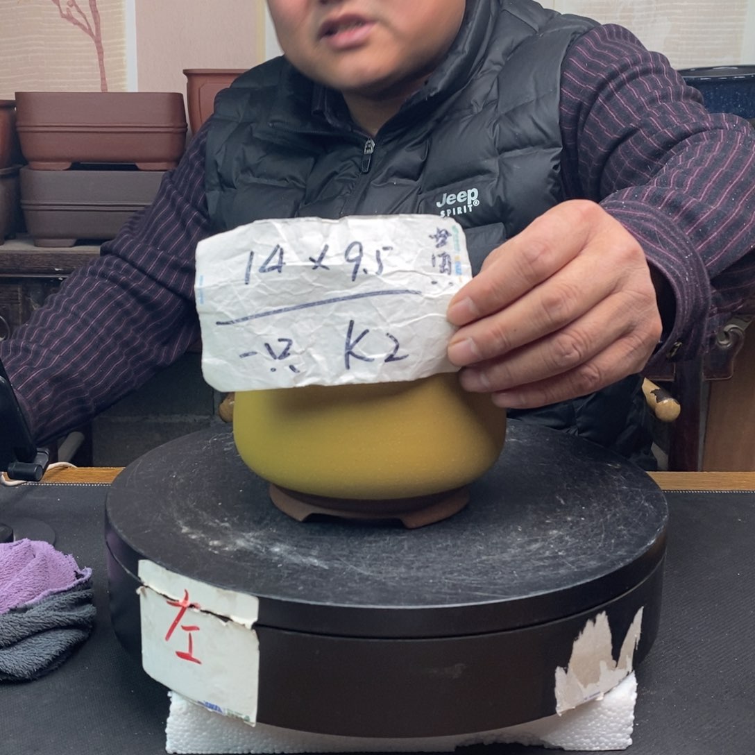 红陶货号一只KK2