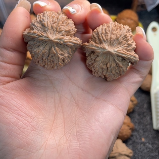 手串文玩核桃17号137