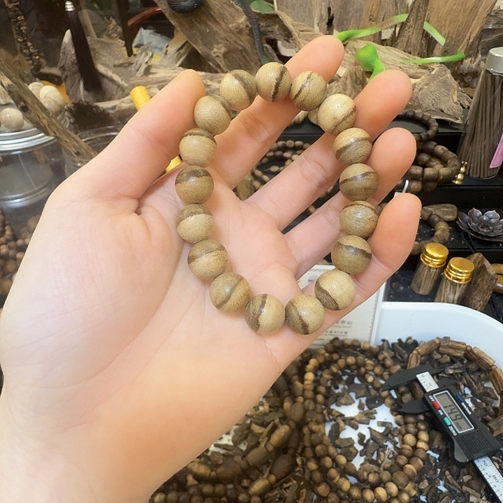 沉香沉香碎屑达拉干沉香1.2大7克➕沉香碎屑多样性