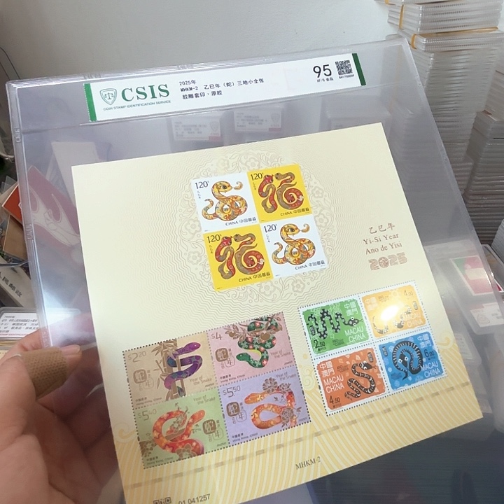 三地蛇邮票信泰95片一版