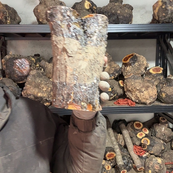 迪***品香榧木火琉璃的故事是一个人