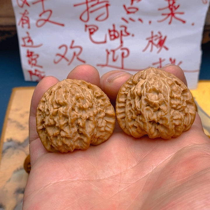 文玩核桃把件40尺白狮子