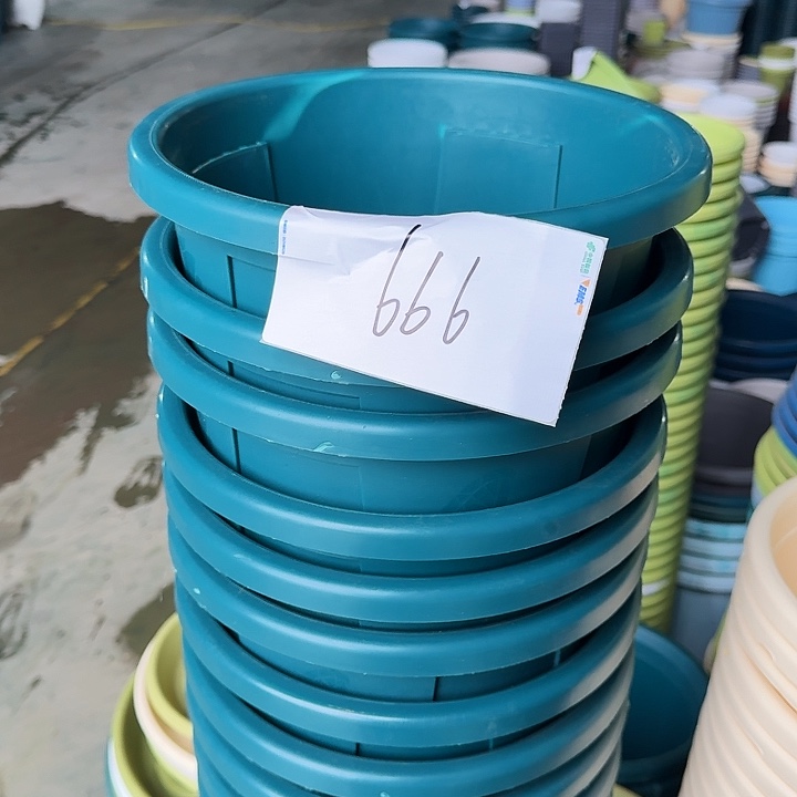 编号666瑕疵5个无托