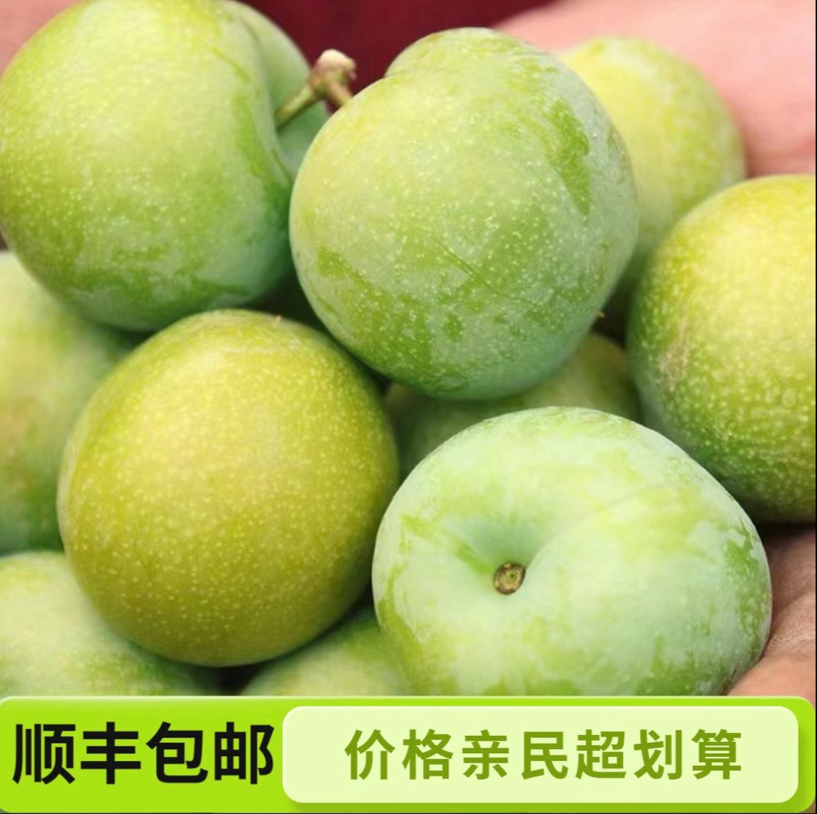 贵州正宗脱骨青脆李新鲜当季水果脆甜多汁顺丰包邮
