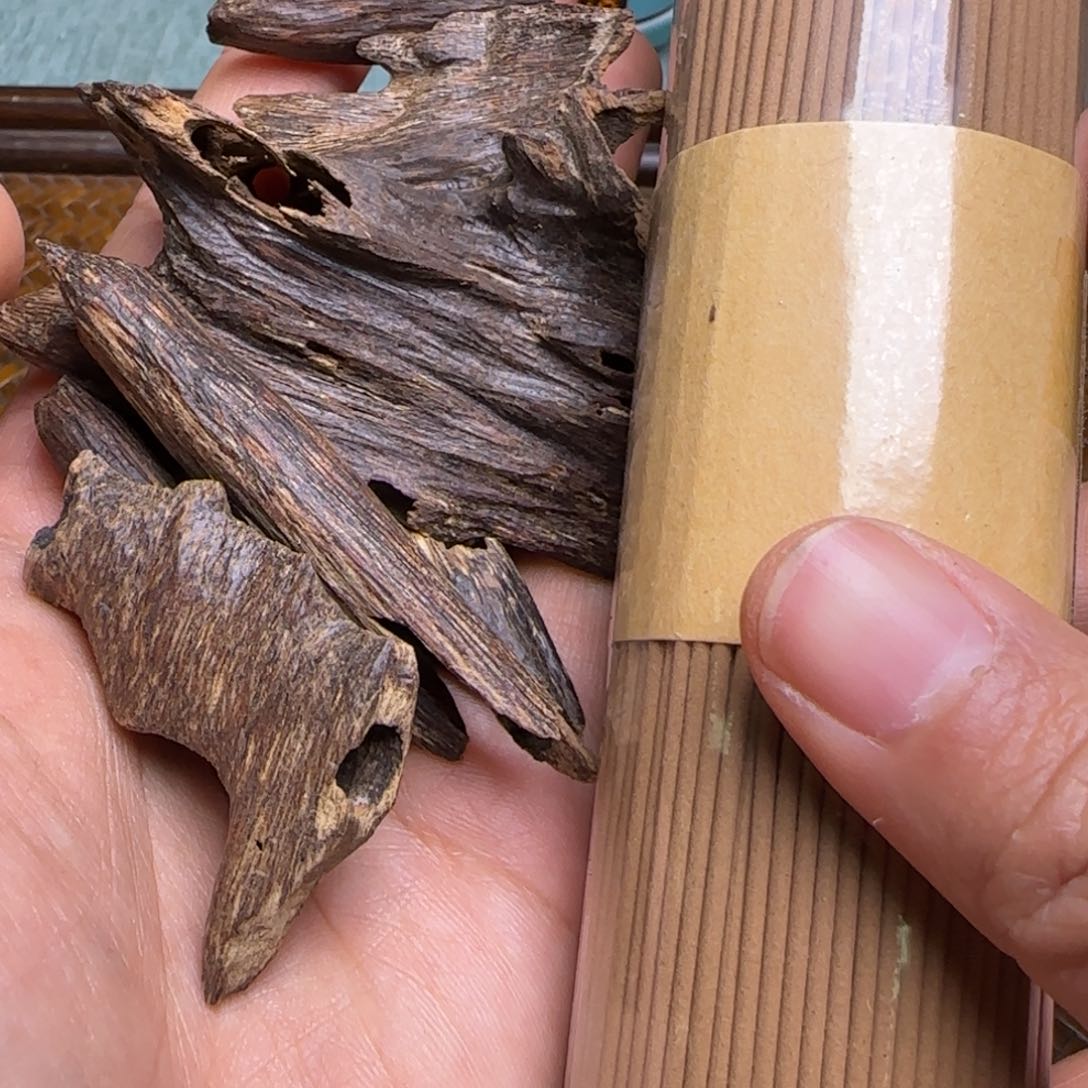 海南尖峰岭红油虫漏11克重