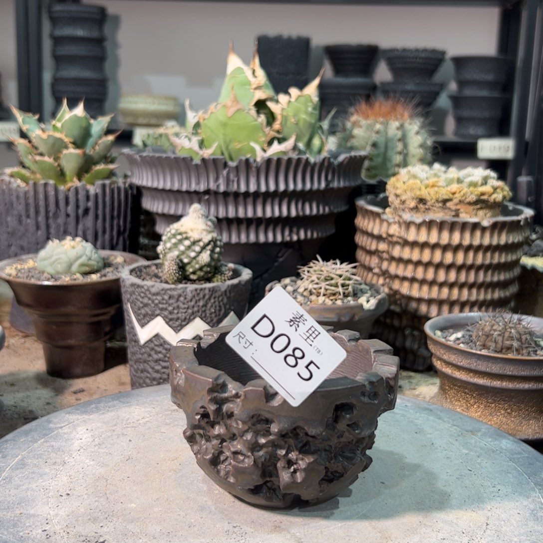 景德镇素里手工内口8.2高6.5