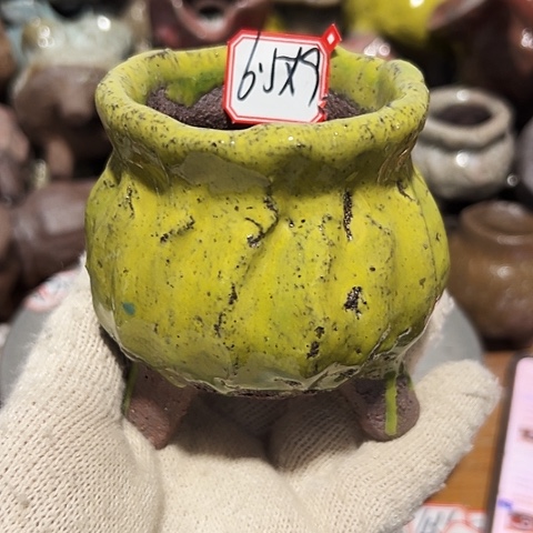 粗陶花盆，现在都不一样了